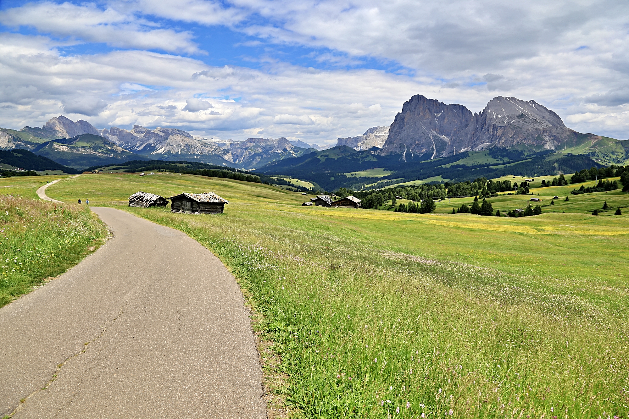 프리미엄 서비스